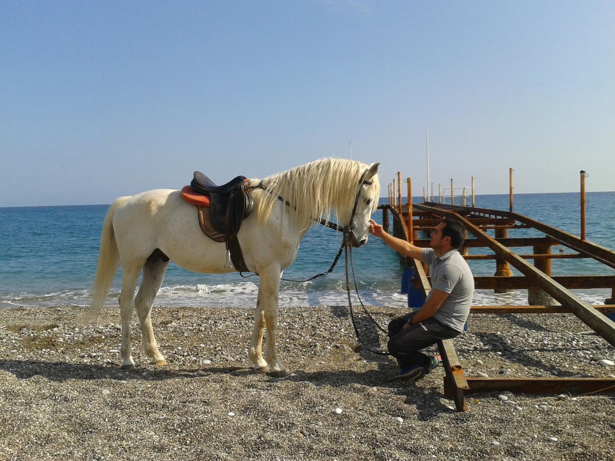 Oranj Ranch Hotel Kemer Kültér fotó