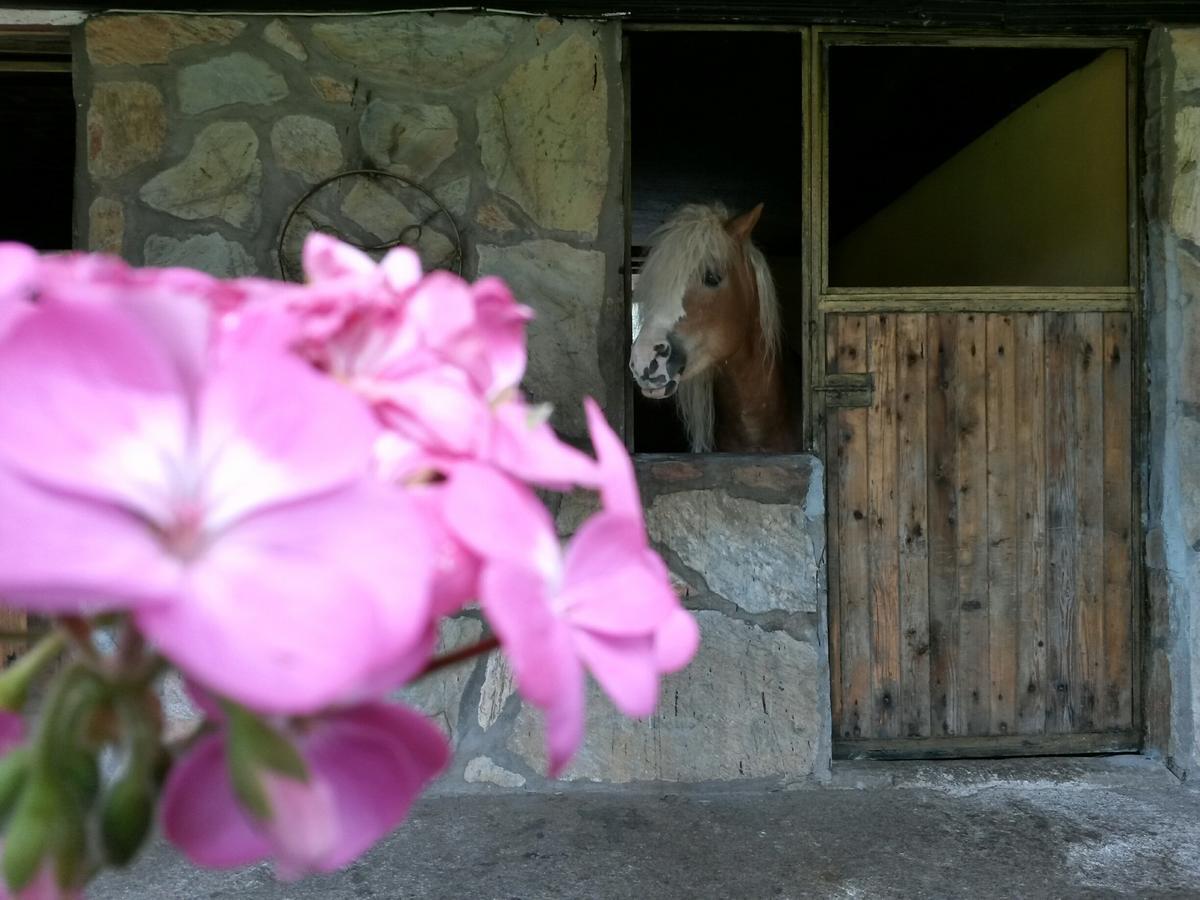 Oranj Ranch Hotel Kemer Kültér fotó