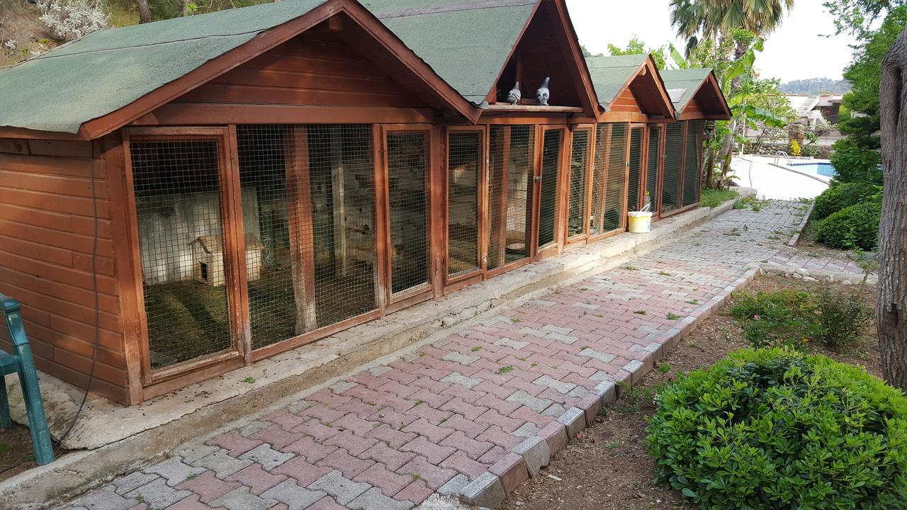 Oranj Ranch Hotel Kemer Kültér fotó