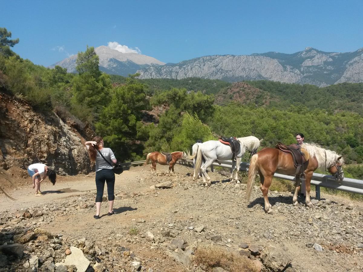 Oranj Ranch Hotel Kemer Kültér fotó