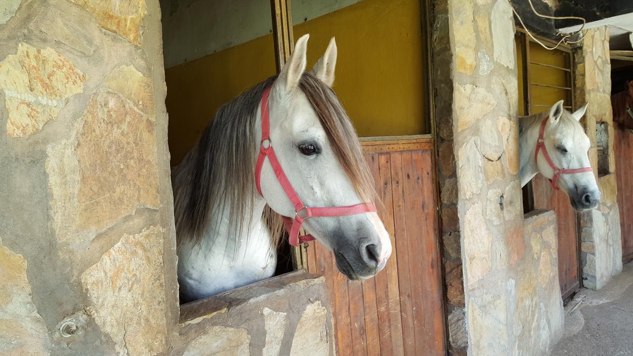 Oranj Ranch Hotel Kemer Kültér fotó