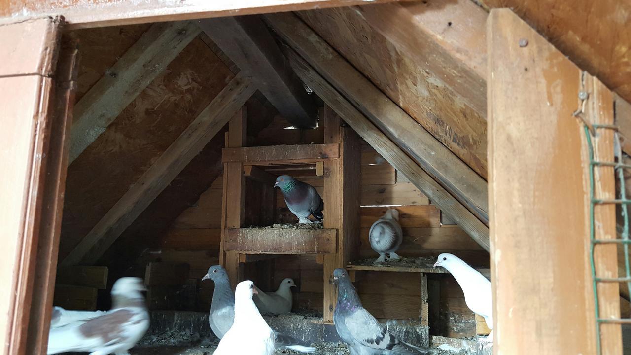 Oranj Ranch Hotel Kemer Kültér fotó