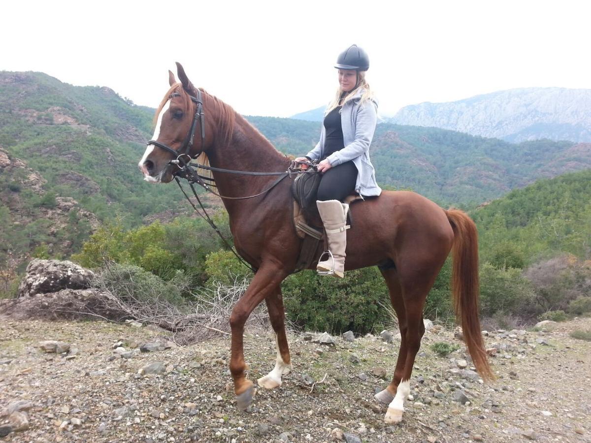 Oranj Ranch Hotel Kemer Kültér fotó