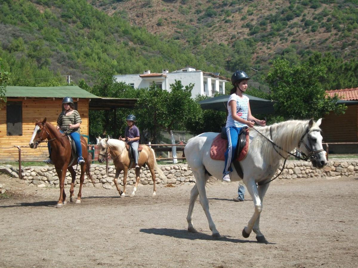 Oranj Ranch Hotel Kemer Kültér fotó
