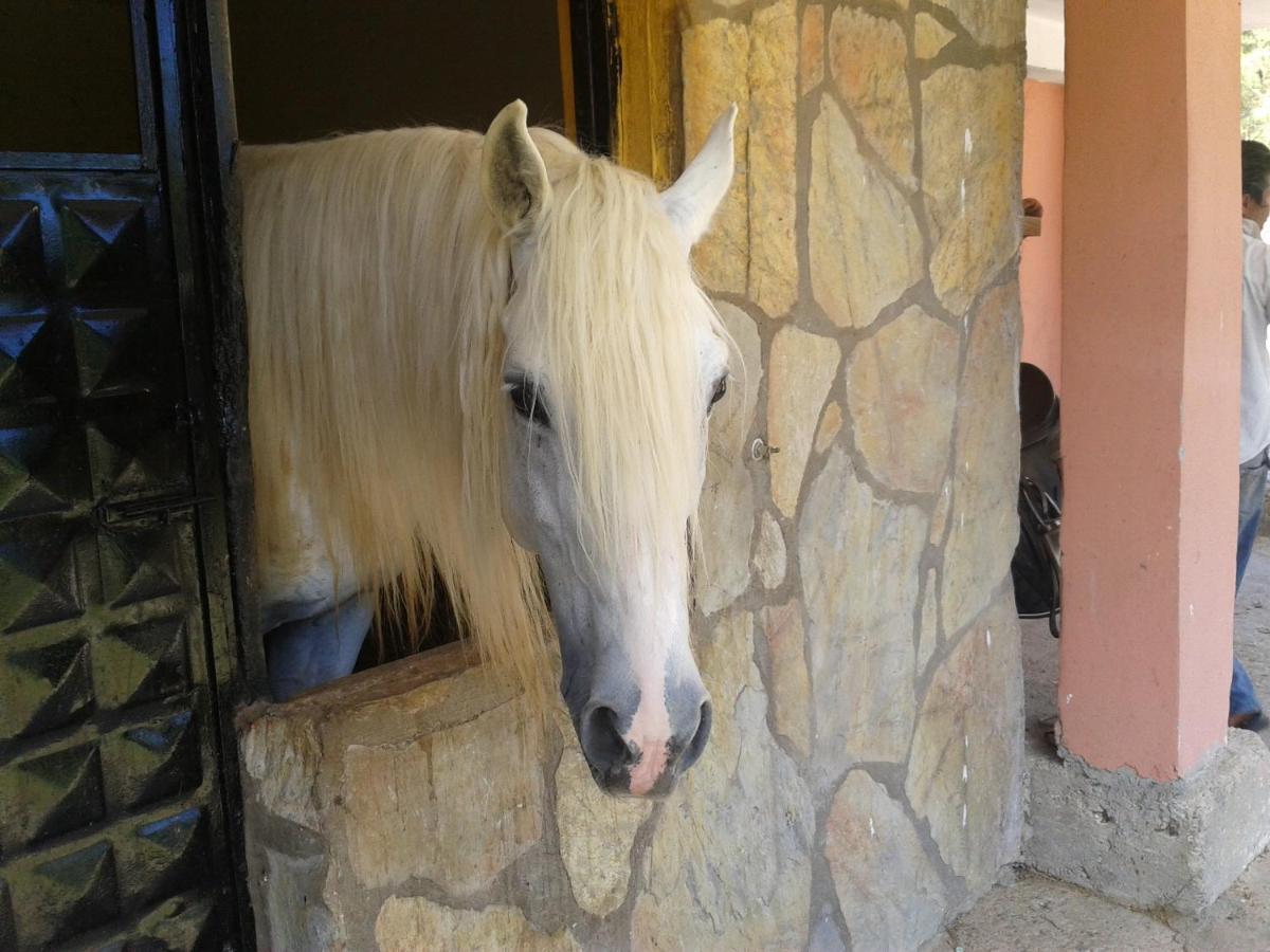 Oranj Ranch Hotel Kemer Kültér fotó